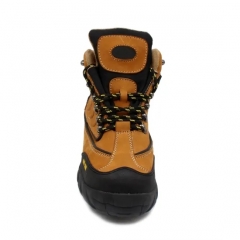 FTSL008 Safety Shoes