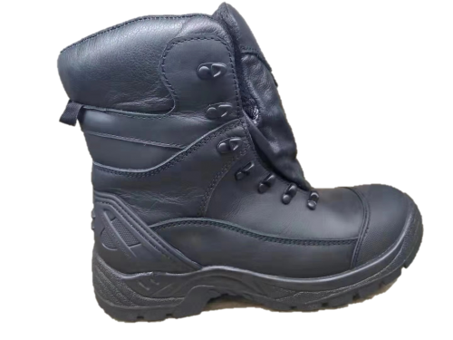 FTSL0088 Safety Shoes